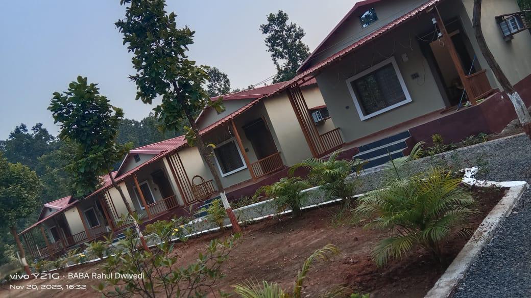 Luxury resort pool with palm trees at sunset